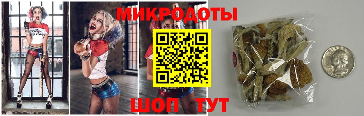 Галлюциногенные грибы GOLDEN TEACHER  Вход с VPN  где купить наркотик  Ростов-на-Дону 